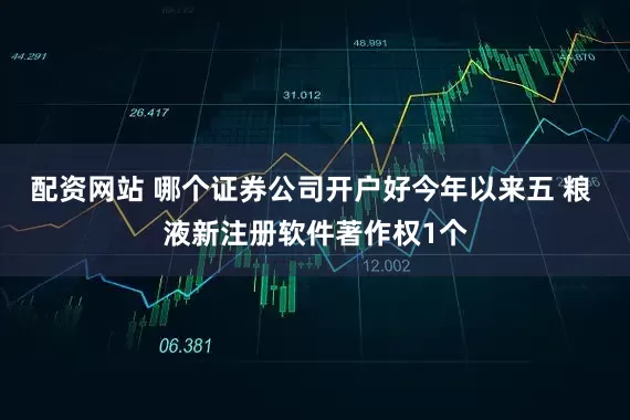 配资网站 哪个证券公司开户好今年以来五 粮 液新注册软件著作权1个