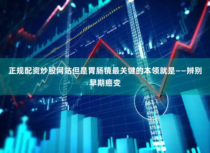 正规配资炒股网站但是胃肠镜最关键的本领就是——辨别早期癌变