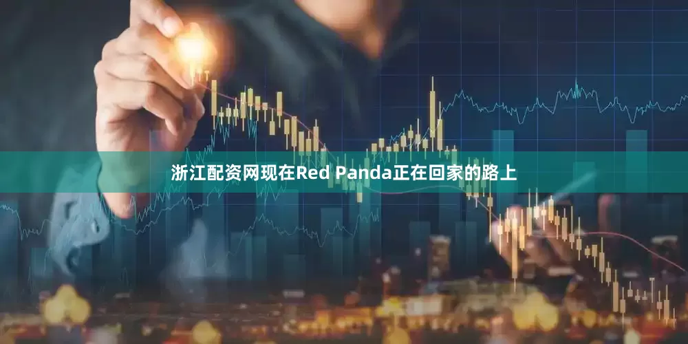 浙江配资网现在Red Panda正在回家的路上