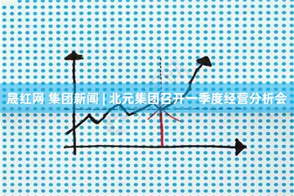 晟红网 集团新闻 | 北元集团召开一季度经营分析会
