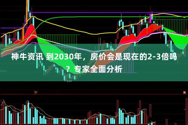 神牛资讯 到2030年，房价会是现在的2-3倍吗？专家全面分析