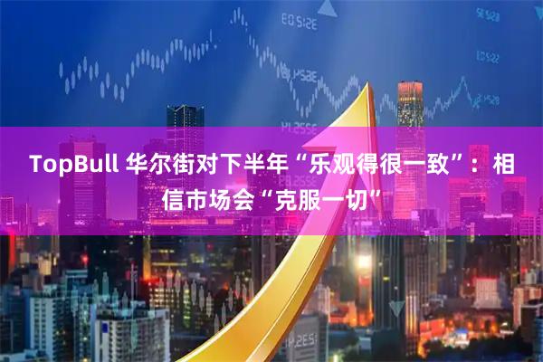 TopBull 华尔街对下半年“乐观得很一致”：相信市场会“克服一切”