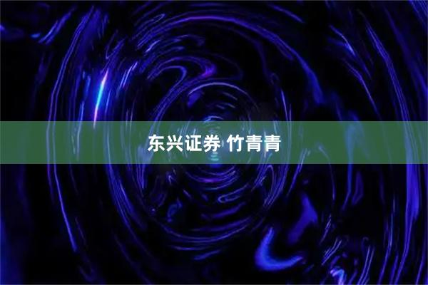 东兴证券 竹青青