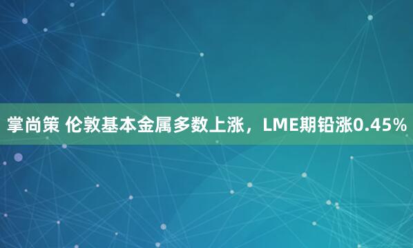 掌尚策 伦敦基本金属多数上涨，LME期铅涨0.45%